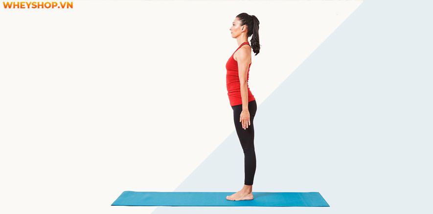 20+ tư thế yoga đơn giản nhất dành cho người mới tập sau đây chắc chắn sẽ giúp sức khoẻ của bạn thay đổi đáng kể. Cùng WheyShop tìm hiểu