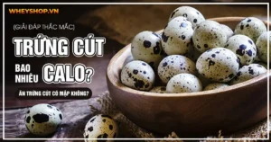 [Giải đáp thắc mắc] Trứng cút bao nhiêu calo? Ăn trứng cút có mập không?
