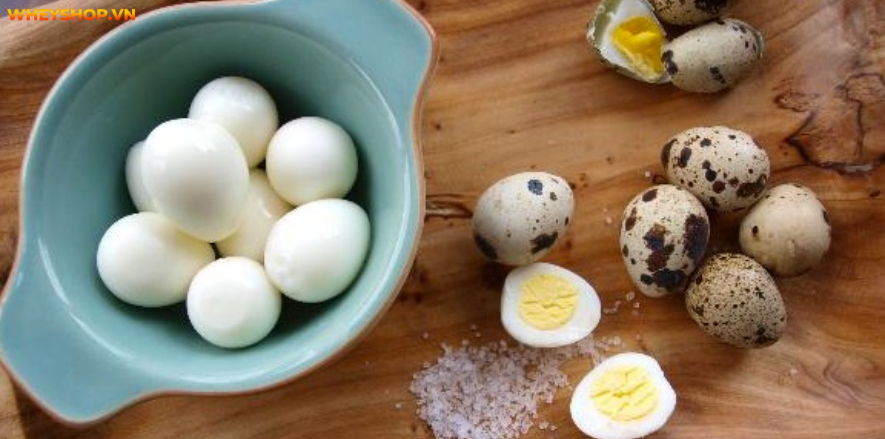 Trứng cút được sử dụng phổ biến và nó có đầy đủ các chất dinh dưỡng như trứng gà. Cùng BenhVienKim tìm hiểu hàm lượng dinh dưỡng và trứng cút bao nhiêu calo...