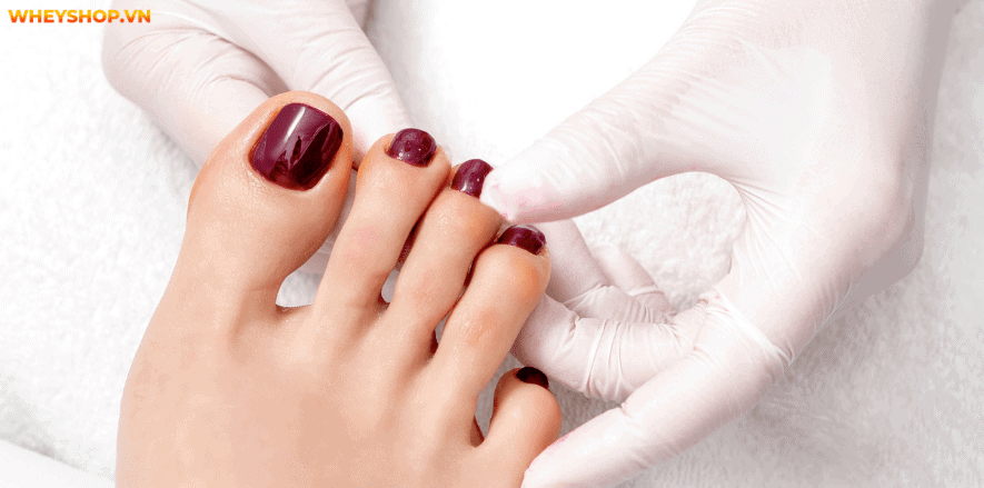 Bạn có bao giờ thắc mắc tại sao ngón chân trỏ dài hơn ngón cái không? Bài viết này WheyShop sẽ giải đáp ý nghĩa về ngón chân trỏ dài hơn ngón cái...