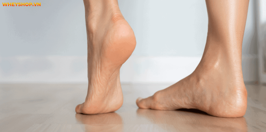Bạn có bao giờ thắc mắc tại sao ngón chân trỏ dài hơn ngón cái không? Bài viết này WheyShop sẽ giải đáp ý nghĩa về ngón chân trỏ dài hơn ngón cái...