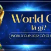 world-cup-la-gi-1