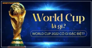 World Cup là gì? World Cup 2022 có gì đặc biệt?