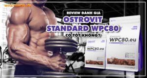 Review đánh giá Ostrovit Standard WPC80 có tốt không? 