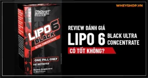 Review đánh giá Lipo 6 Black Ultra Concentrate có tốt không?