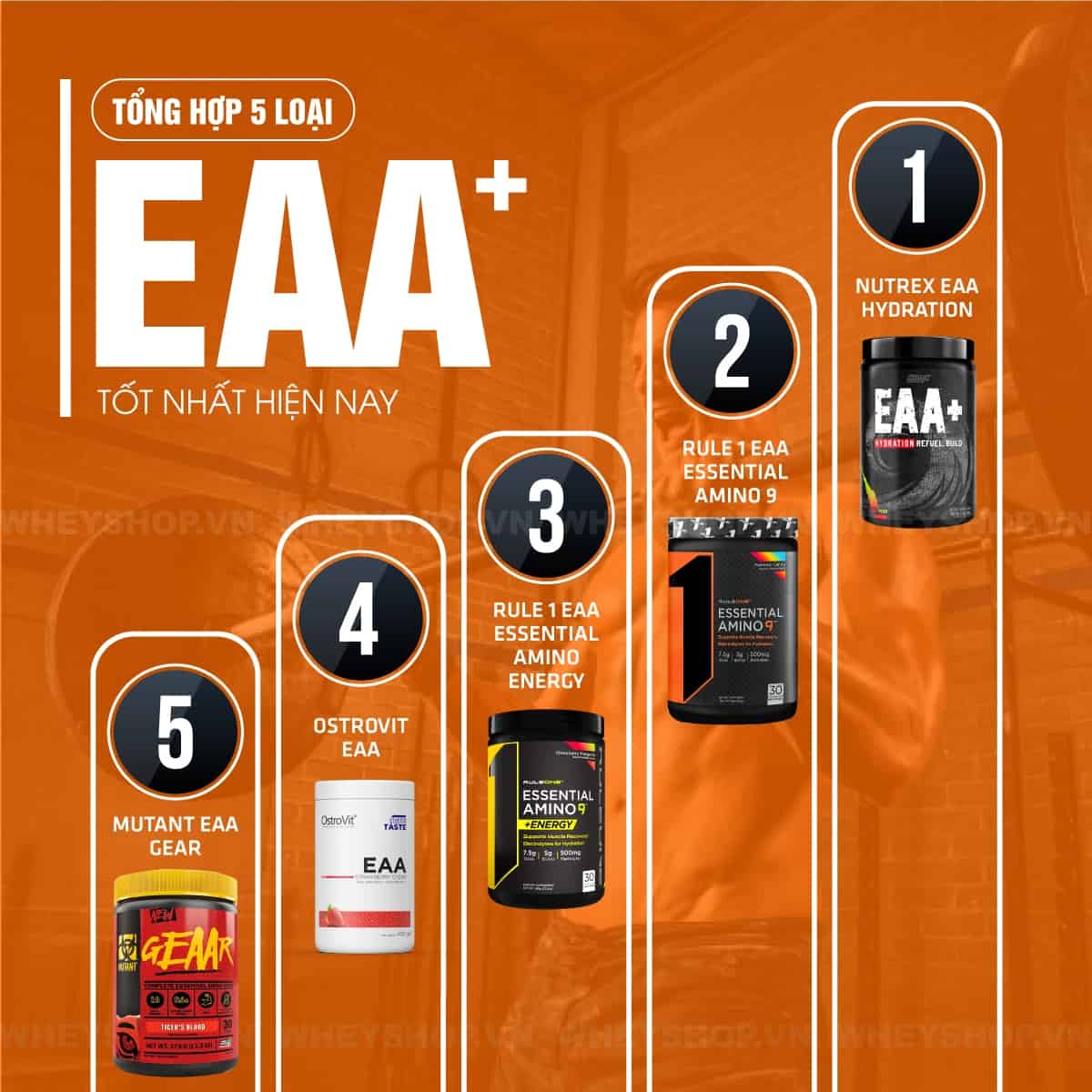 Hầu hết tất cả các đối tượng đều đang thiếu hụt axit amin thiết yếu. EAA loại nào tốt? Bài viết dưới đây WheyShop sẽ gợi ý Top 5+ EAA tốt nhất hiện nay....