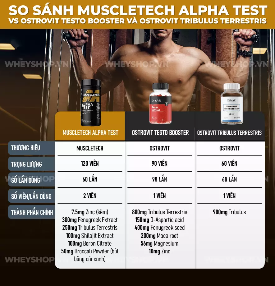 Muscletech Alpha Test là dòng sản phẩm tăng cường Testosterone, cải thiện sinh lý, hỗ trợ tăng cơ bắp. Cùng WheyShop review đánh giá Muscletech Alpha Test ...