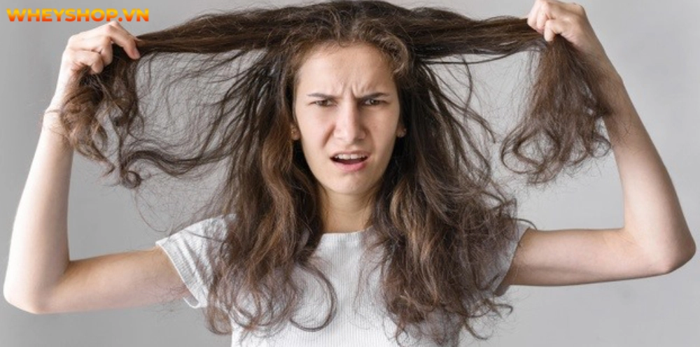 Cách gội đầu cũng là 1 yếu tố ảnh hưởng đến mái tóc. Rất nhiều chị em sau khi gội đầu tóc bông xù và nhiều dầu. WheyShop giới thiệu 15+ cách gội đầu lâu bết...