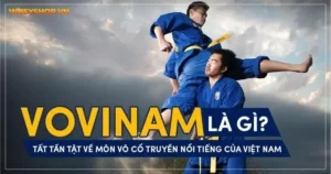 Vovinam là gì? Tất tần tật về môn võ cổ truyền nổi tiếng của Việt Nam