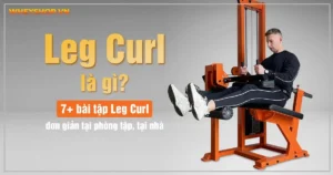 Leg Curl là gì? Hướng dẫn 7+ bài tập Leg Curl đơn giản tại phòng tập, tại nhà 