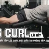Leg Curl là một trong những động tác tập cơ đùi được nhiều người đam mê thể hình lựa chọn nhất hiện nay. Hãy cùng WheyShop tham khảo 7+ Bài tập Leg Curl...