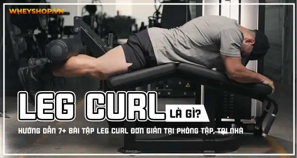 Leg Curl là một trong những động tác tập cơ đùi được nhiều người đam mê thể hình lựa chọn nhất hiện nay. Hãy cùng WheyShop tham khảo 7+ Bài tập Leg Curl...