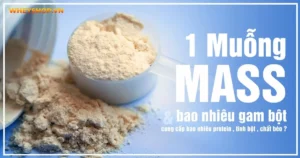 1 Muỗng Mass bao nhiêu gam bột và cung cấp bao nhiêu protein , tinh bột , chất béo ?