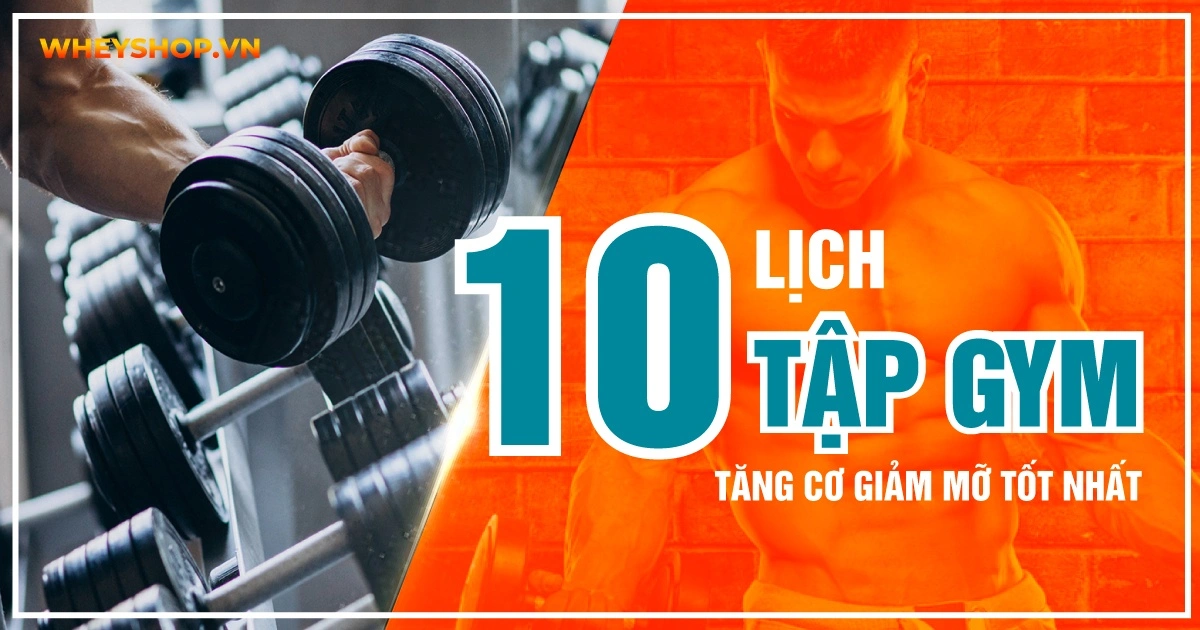 10-lich-tap-gym-tang-co-giam-mo