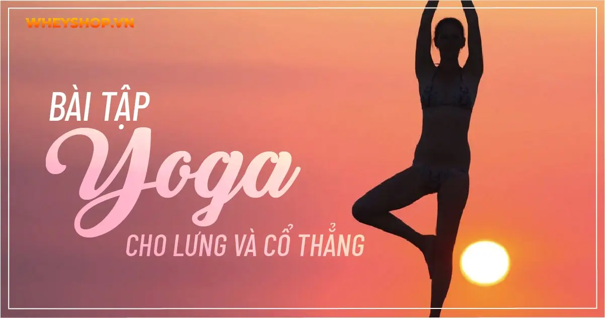 bai-tap-yoga-cho-lung-va-co-thang-06-min