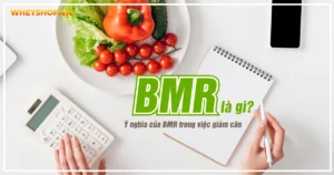 BMR là gì ? Ý nghĩa của BMR trong việc giảm cân