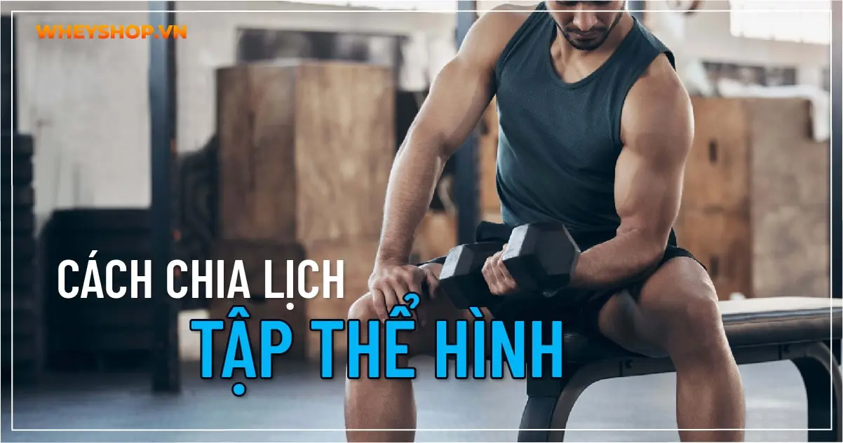 cach-chia-lich-tap-the-hinh-03-min