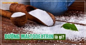 Đường Maltodextrin là gì ?
