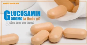 Glucosamin 500mg là thuốc gì và có công dụng gì ?