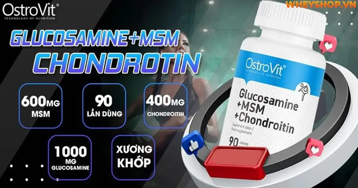 glucosamine-chondroitin-msm-la-gi-3