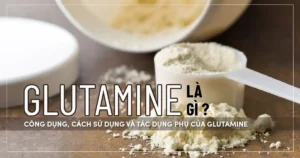 Glutamine là gì ? Công dụng, cách sử dụng và tác dụng phụ của Glutamine