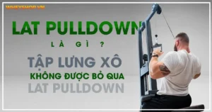 Lat Pulldown là gì ? Tập lưng xô không được bỏ qua Lat PullDown