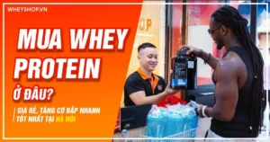 Mua Whey Protein ở đâu giá rẻ, tăng cơ bắp nhanh tốt nhất tại Hà Nội