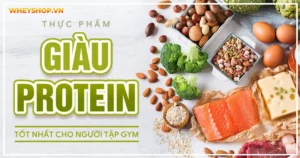 Nhóm thực phẩm giàu protein tốt nhất cho người tập gym