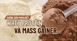 Hướng dẫn phân biệt Whey Protein và Mass Gainer