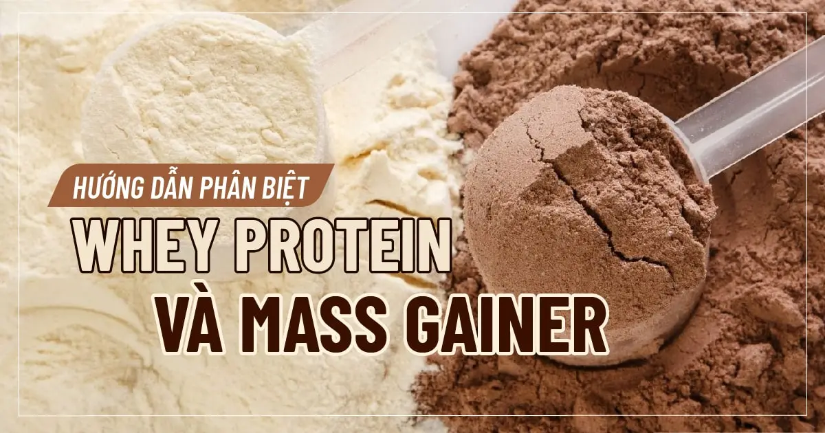 phan-biet-whey-protein-va-mass-gainer-03-min