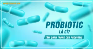 Probiotic là gì? Tầm quan trọng của Probiotic đối với sức khỏe?