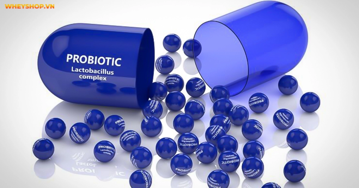 probiotic-la-gi-tam-quan-trong-cua-probiotic(2)