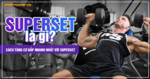 Superset là gì? Cách tăng cơ bắp nhanh nhất với Superset