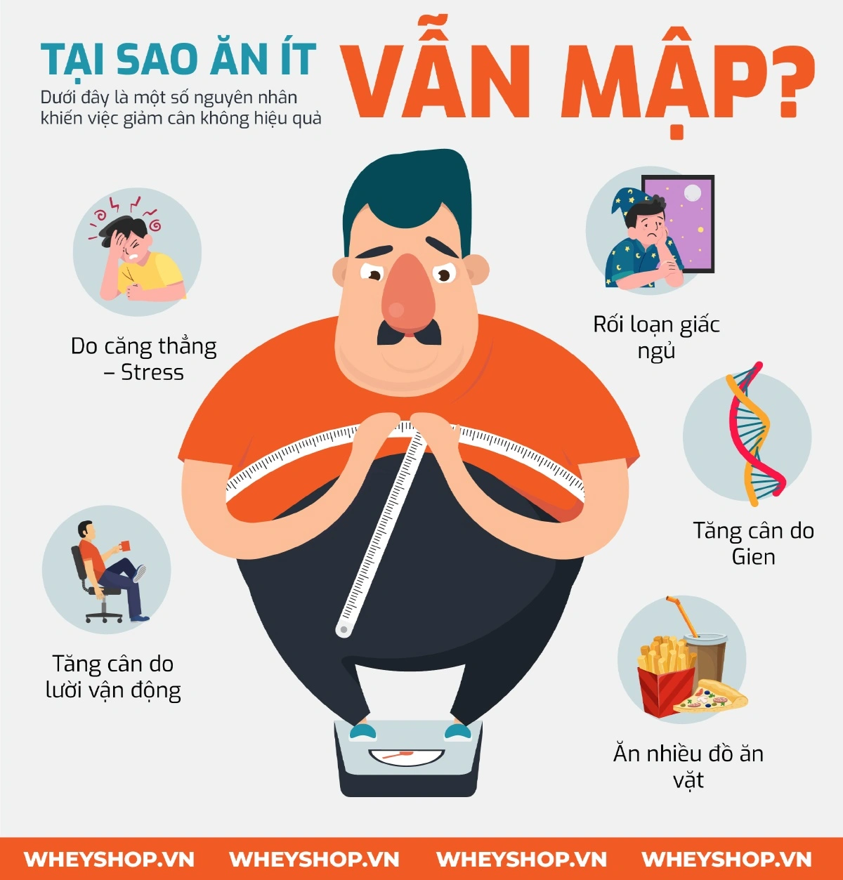 tai-sao-an-it-van-map