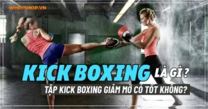 Kick Boxing là gì ? Tập Kick boxing giảm mỡ có tốt không?