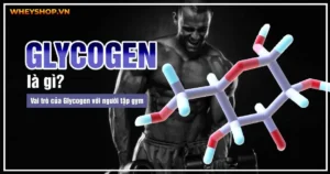 Glycogen là gì ? Vai trò của Glycogen với người tập gym