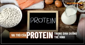 Vai trò của protein trong dinh dưỡng thể hình