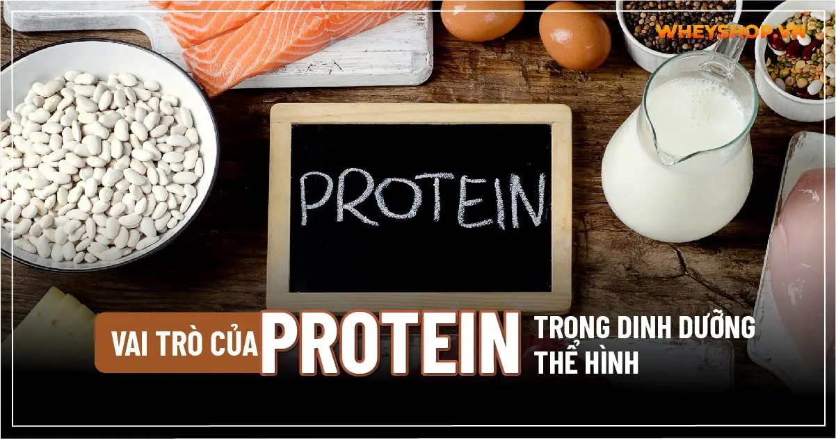 vai-tro-cua-protein-trong-dinh-duong-the-hinh-32-04-min