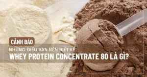 Cảnh báo : Những điều bạn nên biết về Whey Protein Concentrate 80 là gì ?