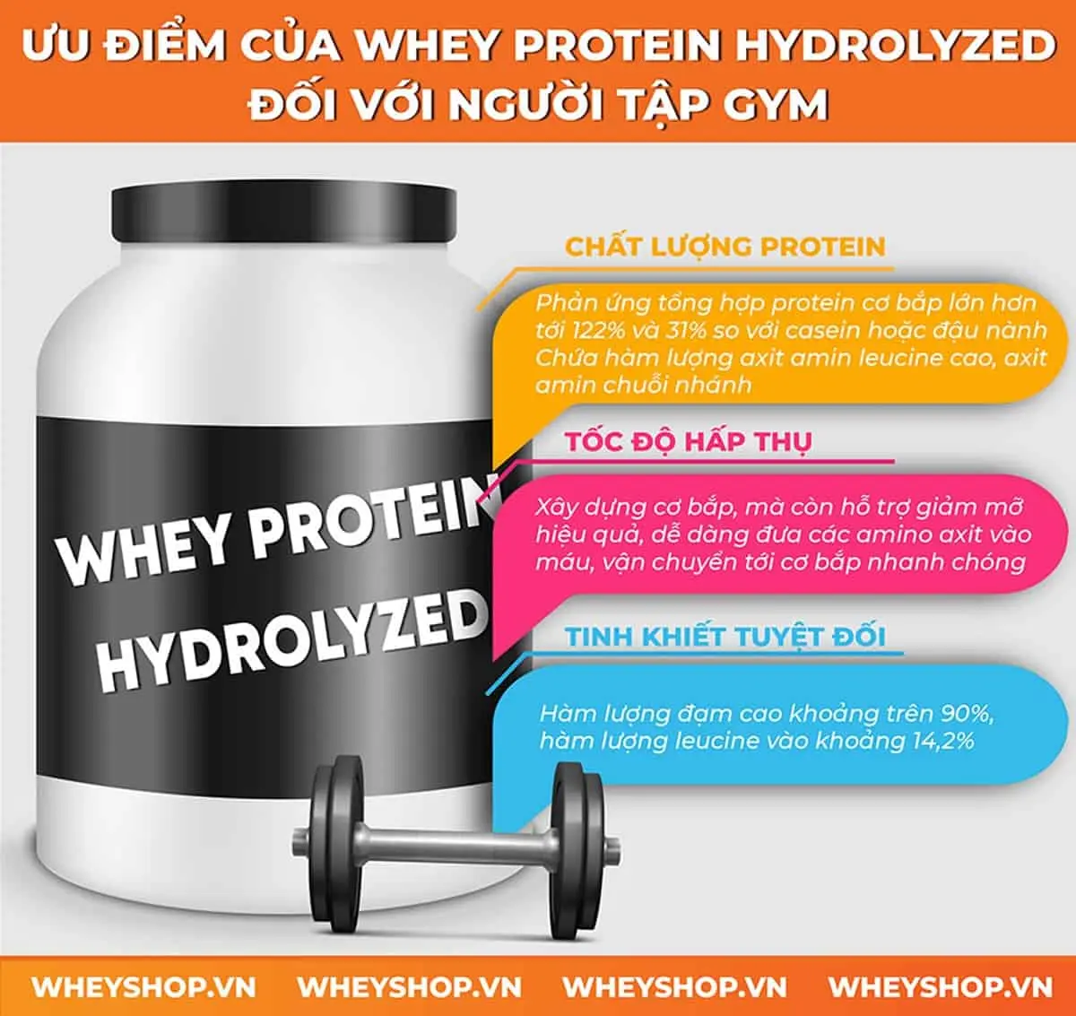 whey-protein-hydrolyzed-4
