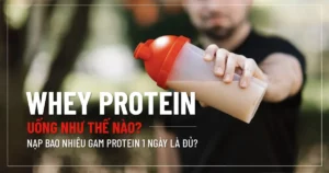 Whey Protein uống như thế nào? Nạp bao nhiêu gam protein 1 ngày là đủ ?