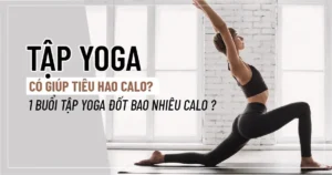 Tập Yoga có giúp tiêu hao calo? 1 buổi tập yoga đốt bao nhiêu calo ?