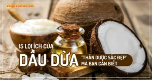 15 Lợi ích của dầu dừa “thần dược sắc đẹp” mà bạn cần biết