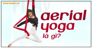 Aerial Yoga là gì? Lợi ích của nó mang đến cho cơ thể ra sao?