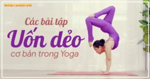 Các bài tập uốn dẻo cơ bản trong Yoga