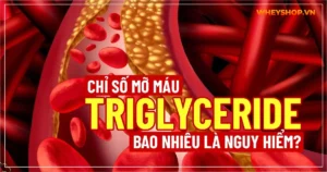 Chỉ số mỡ máu Triglyceride bao nhiêu là nguy hiểm?