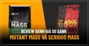 Review đánh giá so sánh Mutant Mass và Serious Mass