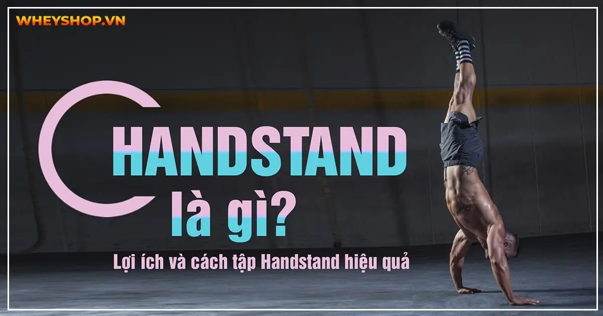 handstand-la-gi-loi-ich-va-cach-tap-handstand-hieu-qua-5