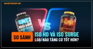 So sánh Iso HD và Iso Surge loại nào tăng cơ tốt hơn?