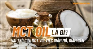 MCT Oil là gì? Vai trò của MCT với việc giảm mỡ, giảm cân
